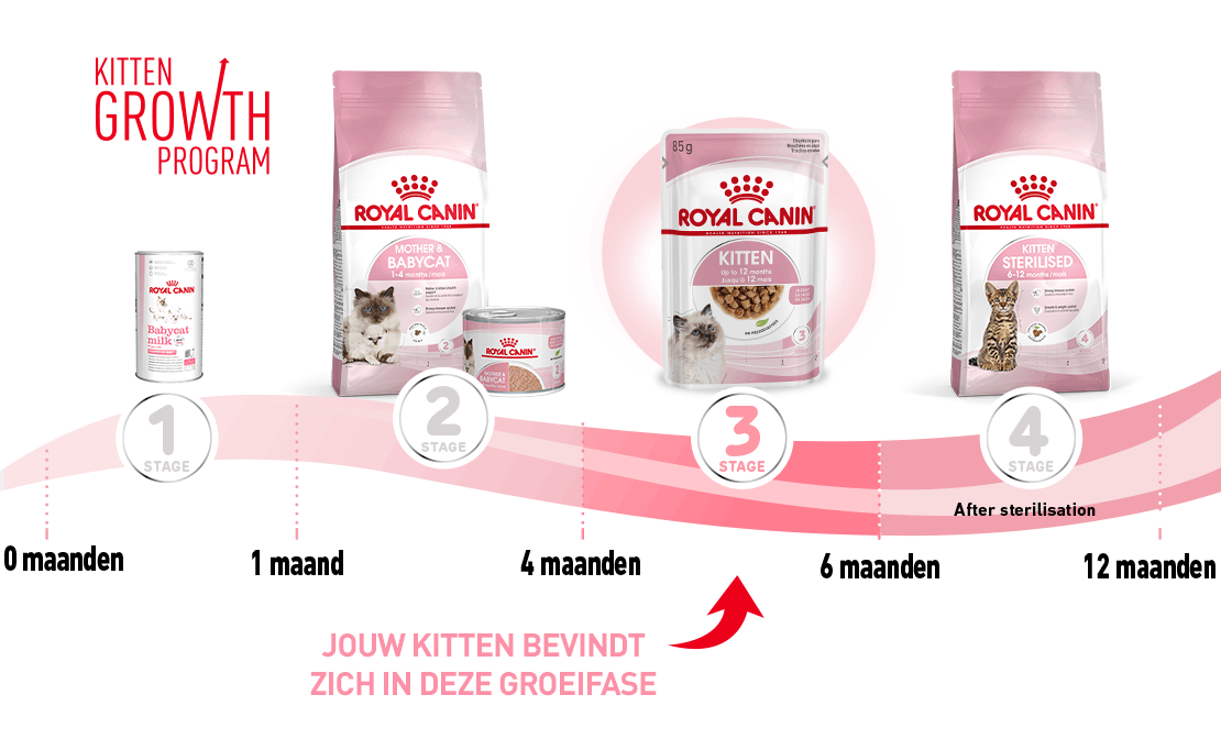 Royal Canin Kitten kattenvoer
